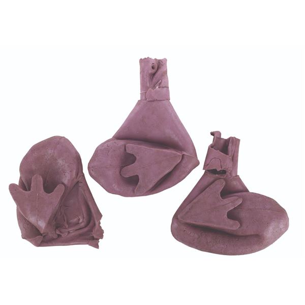 A Collection of Journey Into Imagination Figment Feet Forms.