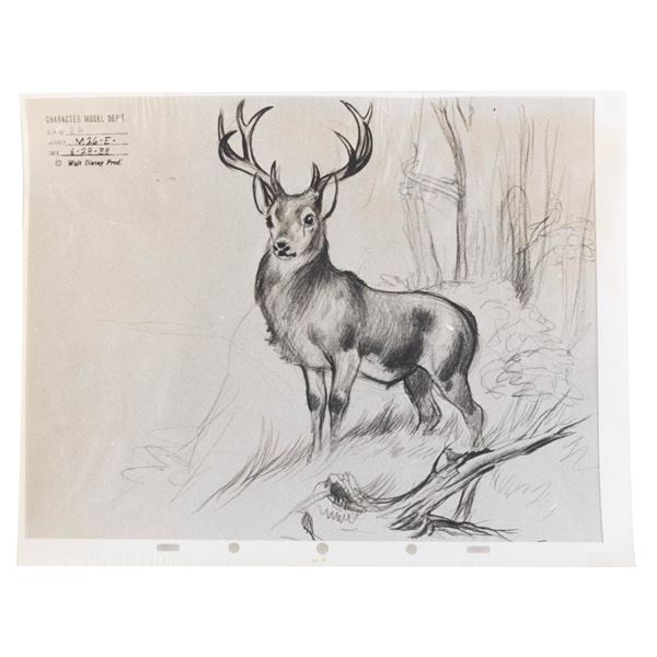 A Photographic Model Sheet from "Bambi"