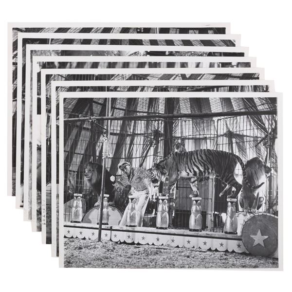 Mickey Mouse Club Circus Keller’s Feline Fantastics Photos.