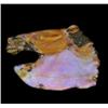 Image 1 : 83.42ct Handcarved Rare Australian Boulder Opal Stallion (GEM-20372)