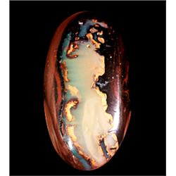 14.96ct Crystal Nut Double-Sided Yowah Boulder Opal (GEM-9691)