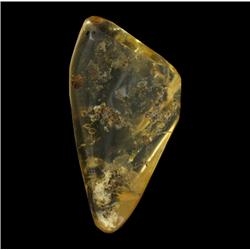 190ct 5 Inch Huge Prehistoric Amber (GEM-20450)