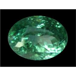 31.5ct 100% Natural Patroke Green Kunzite FLAWLESS Appraisal Estimate $3315 (GEM-17669)