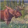 Image 1 : Moose Acrylic on Canvas