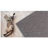Image 1 : Purple Pet Jumbo Litter Mat for Pets with Varying Colors and Super Soft Texture Grey