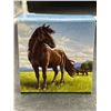 Image 4 : 2015 Canada $100 Fine .999 Silver Coin – The Canadian Horse
