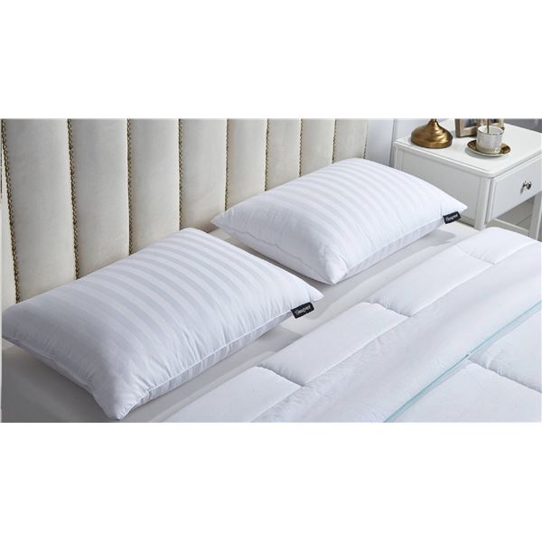 2 Pack Beautyrest Platinum Queen Feather and Down Pillow
