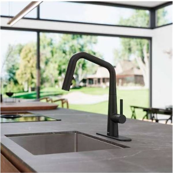 Pfister Buxton F-529-7BNB Matte Black Kitchen Faucet with Pull-Down Sprayer