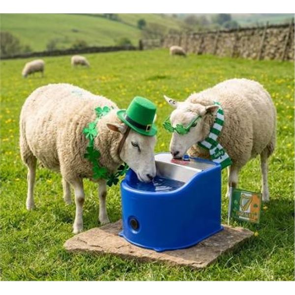 SPI EE10 NG Next Generation Waterer