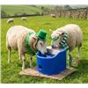 Image 1 : SPI EE10 NG Next Generation Waterer