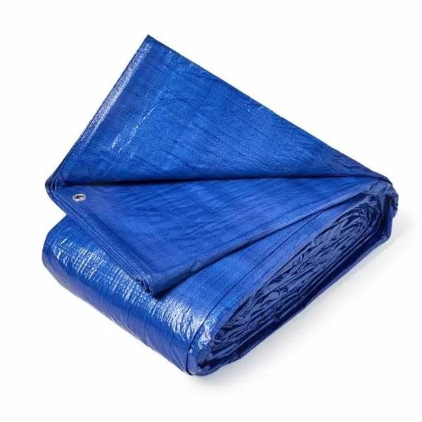 Project Source Blue Tarp 20 ft x 30 ft 3 Mil Thickness