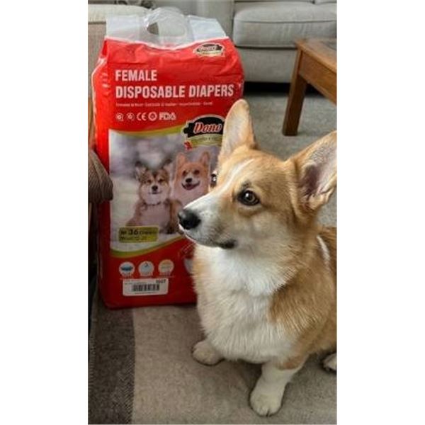 Dono Female Disposable Diapers for Medium Dogs (M), 36 Count