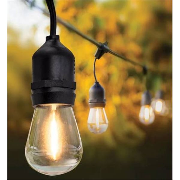 Feit Electric 48ft LED String Lights with Rechargeable Bulbs