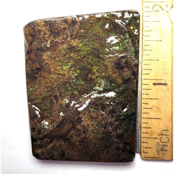 2)    NATURAL GREEN FIRE 258 CT AMMOLITE