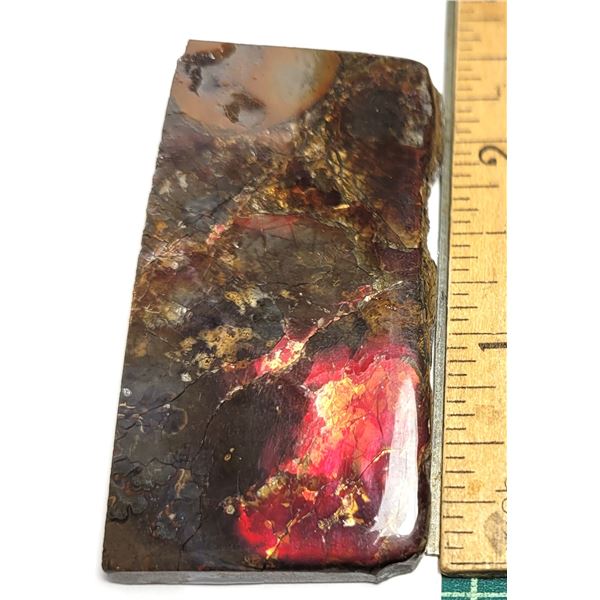 1)  NATURAL RED FIRE 227.5 CT AMMOLITE