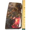 Image 1 : 1)  NATURAL RED FIRE 227.5 CT AMMOLITE