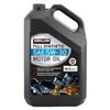 Image 1 : 4.73L 5W-30 SYNTHETIC OIL