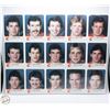 Image 1 : 1985-86 UNCUT SHEET VERNON PEPLINSKI ROOKIE SUTER