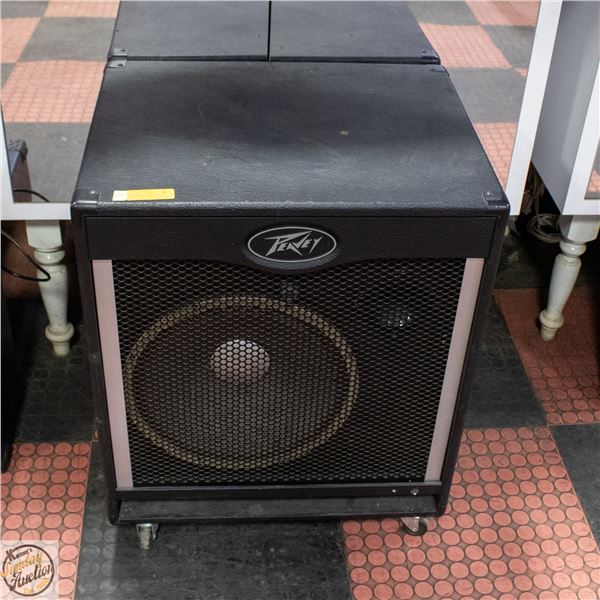 PEAVEY TOUR SERIES 115 FULL RANGE GUITAR AMP