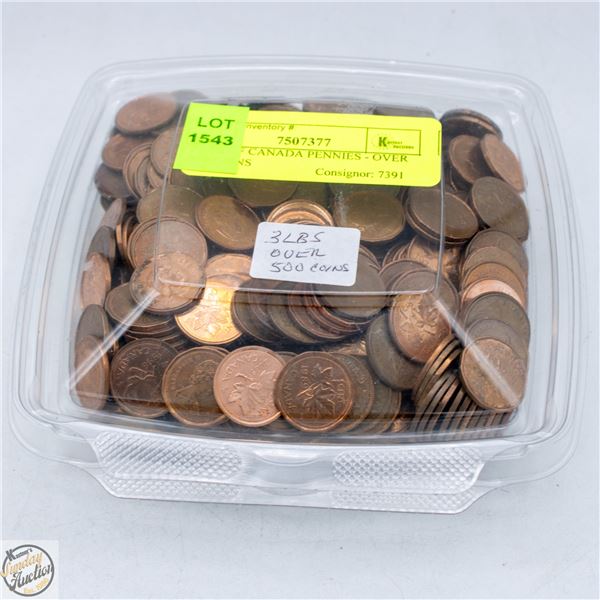 3 LBS OF CANADA PENNIES - OVER 500 COINS