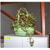 Image 1 : LIVE HOUSEPLANT- BASKET ASSORTED