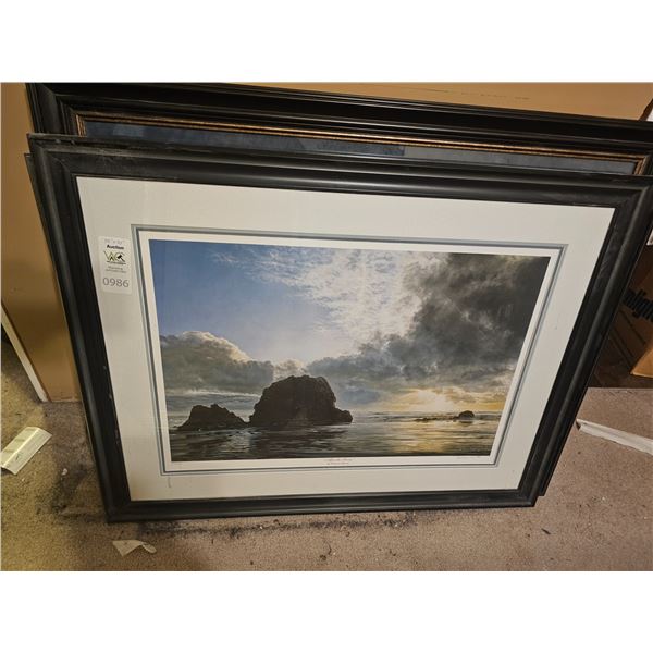 Framed Numbered Print by Richard Mravik Cat A