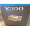Image 6 : Igloo & Camping B