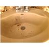Image 3 : America Standard Sink C