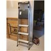 Image 1 : Step Ladder B