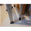 Image 3 : Step Ladder B