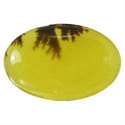 8.85ct Lustrous Appeal Natural Dentrit Picture Opal  (GEM-19784)