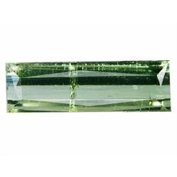 2.64ct Natural Paraiba Green Tourmaline Gem (GEM-20038)