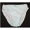 Image 1 : New Jessica Light Green Ladies Briefs Nylon/Spandex Size Medium