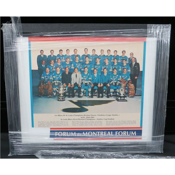 Vintage Framed 1968-69 St. Louis Blues Team Photo 23" x 19"