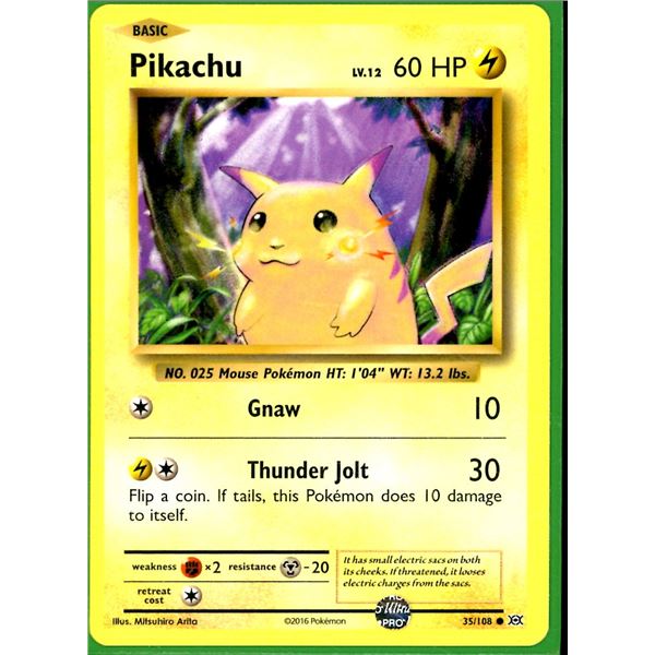 Pokemon Pikachu - 35/108 - Common Evolutions