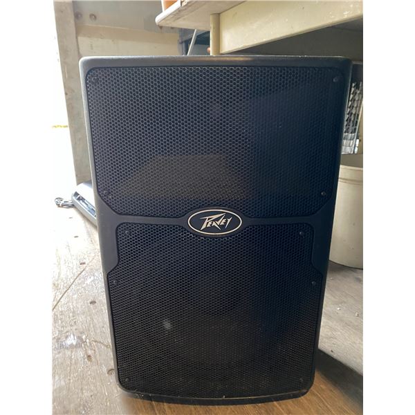 700 -- PEAVEY SPEAKER