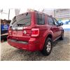 Image 14 : PARKSVILLE - 2010 FORD ESCAPE RED  280657 KMS - BA05901