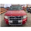 Image 6 : PARKSVILLE - 2010 FORD ESCAPE RED  280657 KMS - BA05901