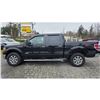 Image 15 : DUNCAN - 2013 FORD F-150 BLACK 247254 KMS - DE25766