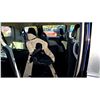 Image 24 : DUNCAN - 2015 DODGE GRAND CARAVAN BLUE 133745 KMS - D630736