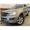 Image 1 : PARKSVILLE - 2007 MERCEDES-BENZ M-CLASS SILVER 230393 KMS - B257027