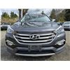 Image 3 : DUNCAN - 2017 HYUNDAI SANTA FE GREY 170637 KMS - J422087