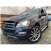 Image 1 : PARKSVILLE - 2011 MERCEDES-BENZ M-CLASS NAVY 212315 KMS - D667367