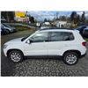 Image 16 : DUNCAN - 2010 VOLKSWAGEN TIGUAN WHITE  163180 KMS - J514723