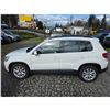 Image 16 : DUNCAN - 2010 VOLKSWAGEN TIGUAN WHITE  163180 KMS - J514723