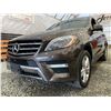 Image 2 : PARKSVILLE - 2015 MERCEDES-BENZ ML-CLASS BROWN 136614 KMS - D613676
