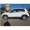 Image 15 : DUNCAN - 2011 VOLKSWAGEN TIGUAN WHITE  216714 KMS - J510430