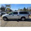 Image 16 : DUNCAN - 2006 FORD F-150 SILVER  244683 KMS - DA86771