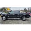 Image 15 : DUNCAN - 2013 FORD F-150 BLACK 247254 KMS - DE25766