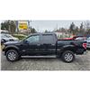Image 16 : DUNCAN - 2013 FORD F-150 BLACK 247254 KMS - DE25766